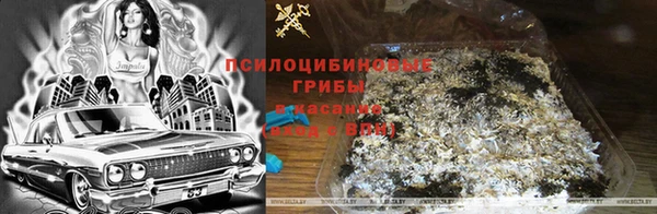 каннабис Абинск