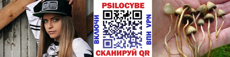 Галлюциногенные грибы прущие грибы  Котельнич 